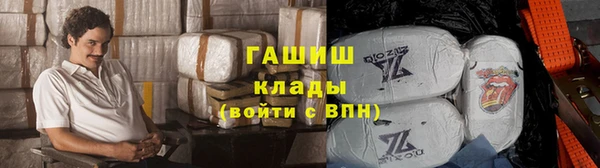сатива Лабытнанги