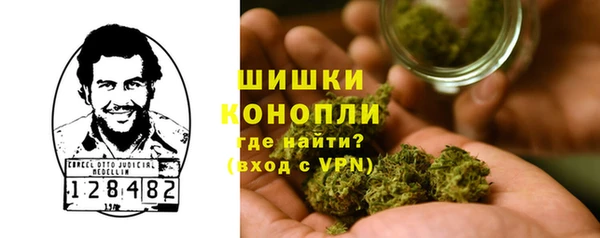 сатива Лабытнанги