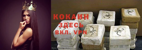 сатива Лабытнанги