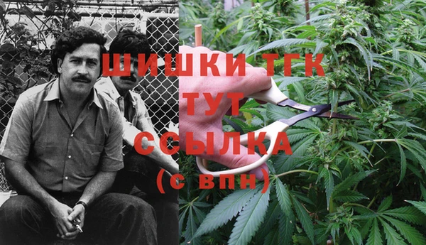 сатива Лабытнанги