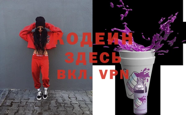сатива Лабытнанги